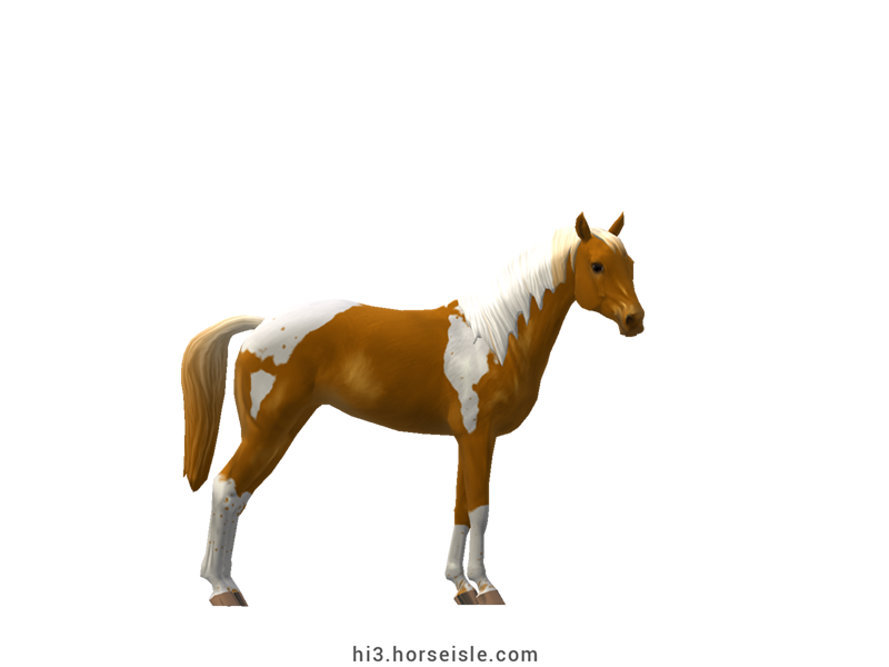 Pintabian Flaxen Bright Chestnut Tobiano Coat (normal view)
